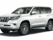 Toyota Land Cruiser Prado VX 2017 - Bán Toyota Land Cruiser Prado VX đời 2018, màu trắng, nhập khẩu nguyên chiếc giao ngay trong tháng