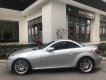 Mercedes-Benz SLK class 2010 - Bán xe Mer SLK 200 mui xếp, sx 2010, màu bạc