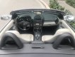 Mercedes-Benz SLK class 200 2010 - Mercedes Benz SLK200 2010 màu bạc, nhập khẩu Đức, biển Hà Nội