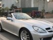 Mercedes-Benz SLK class   AT  2009 - Cần bán Mercedes AT đời 2009, nhập khẩu, giá 799tr