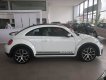 Volkswagen Beetle 2017 - Beetle cuốn hút mọi ánh nhìn, Queen Car