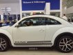 Volkswagen Beetle 2017 - Beetle cuốn hút mọi ánh nhìn, Queen Car