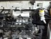 Daewoo Lanos 2003 - Cần bán xe Daewoo Lanos đời 2003, màu trắng