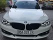 BMW 3 Series 320i GT 2014 - Bán xe BMW 3 Series 320i GT đời 2014, màu trắng, nhập khẩu nguyên chiếc