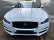 Jaguar 2015 - Cần bán xe Jaguar XE Prestige đời 2016, màu trắng, xe còn bảo hành, gọi 0932222253