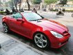 Mercedes-Benz SLK class SLK 350 2010 - Bán Mercedes SLK 350 đời 2010, màu đỏ, xe nhập