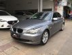 BMW 5 Series 530i 2008 - Cần bán BMW 5 Series 530i đời 2008, màu xám, nhập khẩu nguyên chiếc, giá 619tr