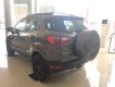 Ford EcoSport 2018 - Bán xe Ford EcoSport (xe 2017). Giá xe chưa giảm, LH Hotline báo giá xe Ford 2018 rẻ nhất: 093.114.2545 - 097.140.7753