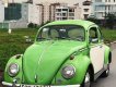 Volkswagen Beetle   1990 - Bán xe Volkswagen Beetle đời 1990, màu xanh, xe nhập