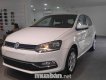 Volkswagen Polo 2017 - Bán ô tô Volkswagen Polo sản xuất 2017, màu trắng, nhập khẩu nguyên chiếc giá cạnh tranh