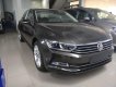 Volkswagen Passat Blue Motion 2017 - Bán Volkswagen Passat Blue Motion 2017, nhập khẩu Mỹ, màu xám