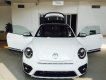 Volkswagen Beetle 2018 - Bán Volkswagen Beetle đời 2018, màu trắng, xe nhập