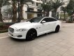 Jaguar XJ 2.0 2014 - Chính chủ bán xe Jaguar XJ 2.0 đời 2014, màu trắng, xe nhập