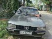 Peugeot 505 1995 - Bán gấp Peugeot 505 đời 1995, màu xám, nhập khẩu