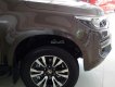 Chevrolet Colorado 2.8 AT 4x4 2017 - Bán xe Chevrolet Colorado 2.8 AT 4X4 sản xuất 2017, hỗ trợ vay ngân hàng 80%, gọi Ms. Lam 0939193718