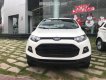 Ford EcoSport 2017 - Bán xe Ford EcoSport đời 2017, màu trắng, nhập khẩu, 650tr