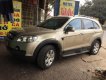 Chevrolet Captiva 2008 - Bán Chevrolet Captiva sản xuất 2008, màu vàng cát