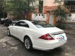 Mercedes-Benz CLS class CLS350 2008 - Bán xe Mercedes CLS350 cực sang, quá chất