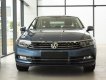 Volkswagen Passat 1.8TSI 2017 - Cần bán Volkswagen Passat 1.8TSI sản xuất 2017, màu xanh lam, xe nhập