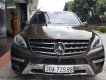 Mercedes-Benz ML Class ML400 2015 - Bán ô tô Mercedes ML400 2015, màu nâu, nhập khẩu