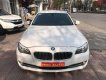 BMW 5 Series 523i 2010 - Bán BMW 5 Series 523i sản xuất 2010, màu trắng, nhập khẩu nguyên chiếc giá cạnh tranh