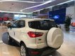 Ford EcoSport 2018 - Bán xe Ford EcoSport đời 2018, màu đỏ, xe nhập, giá tốt