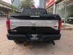 Ford F 150 3.5 V6 Limited 2020 - Cần bán xe Ford F150 3.5 V6 Limited đời 2019, màu đen, nhập khẩu mới 100%, giao ngay