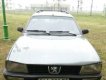 Peugeot 505 1995 - Bán xe Peugeot 505 sản xuất năm 1995, nhập khẩu như mới