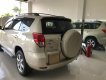 Toyota RAV4 2.4 AT 2008 - Bán Toyota RAV4 2.4 AT năm sản xuất 2008, màu vàng, xe nhập