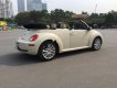 Volkswagen New Beetle 2009 - Bán Volkswagen New Beetle sản xuất năm 2009, màu kem (be), xe nhập