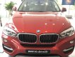 BMW X6 xDrive35i 2017 - Hot Nhất Tháng 5 - Bán BMW X6 xDrive35i Flamenco Red - Nhập khẩu nguyên chiếc mới 100%- Giao xe ngay 0938906047