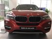 BMW X6 xDrive35i 2017 - Hot Nhất Tháng 5 - Bán BMW X6 xDrive35i Flamenco Red - Nhập khẩu nguyên chiếc mới 100%- Giao xe ngay 0938906047