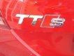 Audi TT S 2.0 AT 2009 - Bán Audi TT FSi đời 2009, màu đỏ, xe nhập