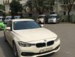 BMW 3 Series   320i 2015 - Bán xe BMW 3 Series 320i năm 2015, màu trắng 