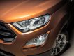 Ford EcoSport 1.0 Ecoboost  2018 - Bán ô tô Ford EcoSport 1.0 Ecoboost đời 2018, màu nâu, xe nhập