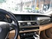 BMW 5 Series 523i 2010 - Bán BMW 5 Series 523i SX 2010, màu đen, nhập khẩu