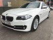 BMW 5 Series 520i 2013 - Chính chủ bán BMW 5 Series 520i SX 2013, màu trắng, nhập khẩu