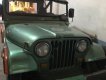 Jeep CJ 1990 - Bán xe Jeep CJ đời 1990, màu xanh lục, nhập khẩu 