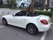 Mercedes-Benz SLK class SLK 350 2010 - Bán Mercedes SLK 350 năm 2010, màu trắng, nhập khẩu  