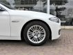 BMW 5 Series 520i 2015 - Cần bán BMW 5 Series sản xuất năm 2015, màu trắng, nhập khẩu