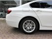 BMW 5 Series 520i 2015 - Cần bán BMW 5 Series sản xuất năm 2015, màu trắng, nhập khẩu