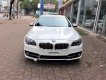 BMW 5 Series 520i 2015 - Cần bán xe BMW 5 Series 520i năm sản xuất 2015, màu trắng, nhập khẩu nguyên chiếc