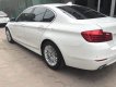 BMW 5 Series 520i 2015 - Bán ô tô BMW 5 Series 520i năm 2015, màu trắng, nhập khẩu đẹp như mới