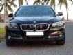 BMW 5 Series 520i 2016 - Bán xe BMW 5 Series năm sản xuất 2016, màu đen, nhập khẩu