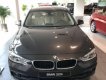 BMW 3 Series 320i 2017 - Bán BMW 3 Series 320i SX 2017, màu xám, nhập khẩu