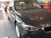 BMW 3 Series 320i 2017 - Bán BMW 3 Series 320i SX 2017, màu xám, nhập khẩu