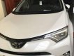Toyota RAV4 2017 - Bán Toyota RAV4 sản xuất 2017, màu bạc, nhập khẩu
