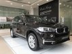 BMW X5 xDrive35i 2018 - Bán xe BMW X5 xDrive35i thể thao, xe 7 chỗ, có xe giao ngay