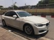 BMW 3 Series 320i 2012 - Bán BMW 3 Series 320i đời 2012, màu trắng, xe nhập  