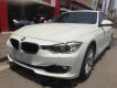 BMW 3 Series 320i 2012 - Bán BMW 3 Series 320i đời 2012, màu trắng, xe nhập  